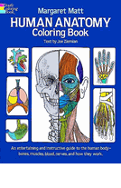 Human Anatomy CB.gif